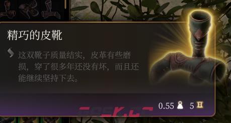 《博德之门3》精巧的皮靴介绍-第2张-单机攻略-GASK