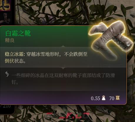 《博德之门3》白霜之靴 精良介绍-第2张-单机攻略-GASK