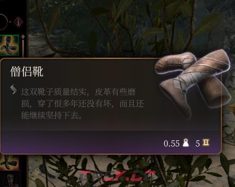《博德之门3》僧侣靴介绍-第2张-单机攻略-GASK