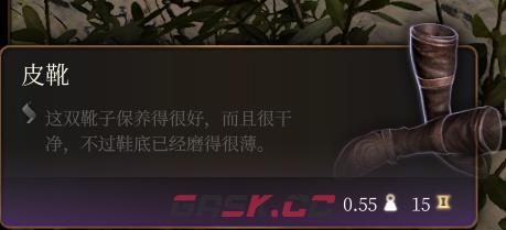 《博德之门3》皮靴介绍-第2张-单机攻略-GASK