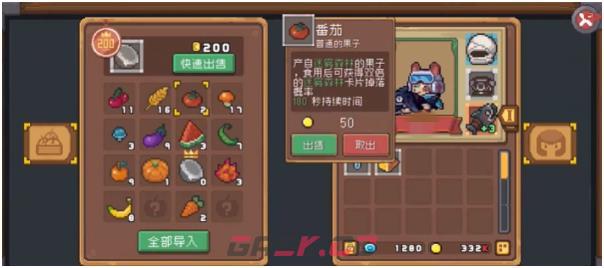 《元气骑士前传》错误代码解决方法-第2张-手游攻略-GASK