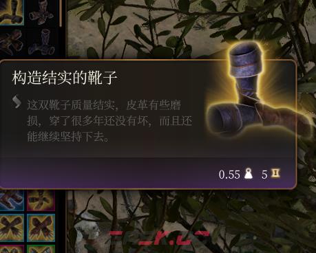 《博德之门3》构造结实的靴子介绍-第2张-单机攻略-GASK