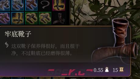 《博德之门3》牢底靴子介绍-第2张-单机攻略-GASK