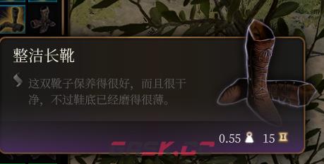 《博德之门3》整洁长靴介绍-第2张-单机攻略-GASK