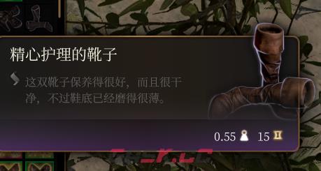 《博德之门3》精心护理的靴子介绍-第2张-单机攻略-GASK