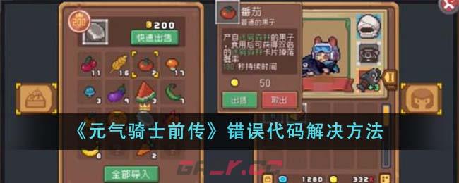 《元气骑士前传》错误代码解决方法-第1张-手游攻略-GASK