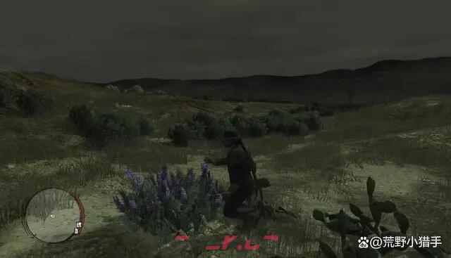 《荒野大镖客：救赎》生存大师5级怎么解锁-第2张-单机攻略-GASK