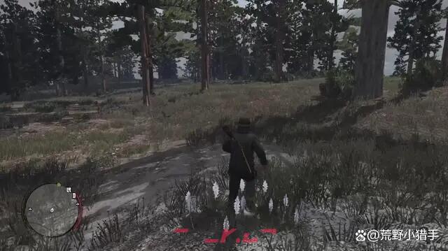 《荒野大镖客：救赎》生存大师7级怎么解锁-第2张-单机攻略-GASK