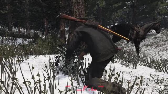 《荒野大镖客：救赎》生存大师10级怎么解锁-第2张-单机攻略-GASK