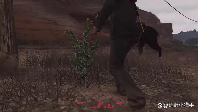 《荒野大镖客：救赎》生存大师6级怎么解锁-第2张-单机攻略-GASK