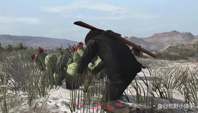 《荒野大镖客：救赎》生存大师4级怎么解锁-第2张-单机攻略-GASK