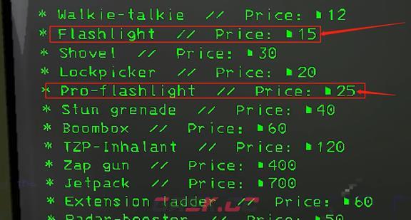 《致命公司》手电筒购买方法介绍-第3张-手游攻略-GASK