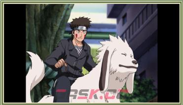 《火影忍者：终极风暴羁绊》犬冢牙 与赤丸的牵绊-第1张-单机攻略-GASK