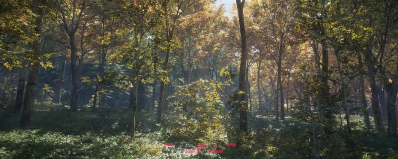 《猎人：荒野的呼唤》蒂阿拉罗瓦的欧洲野兔怎么抓-第1张-单机攻略-GASK