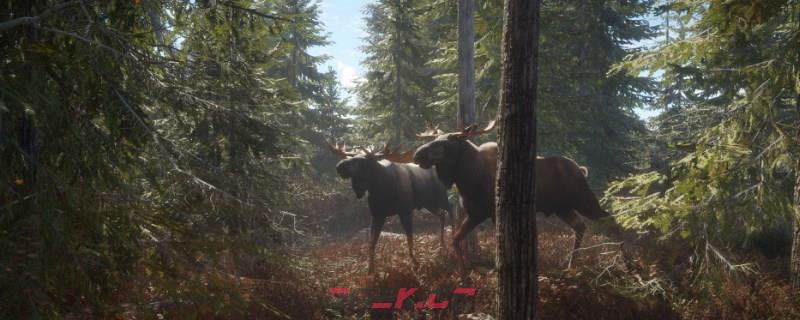 《猎人：荒野的呼唤》雷文图里的驼鹿怎么抓-第1张-单机攻略-GASK