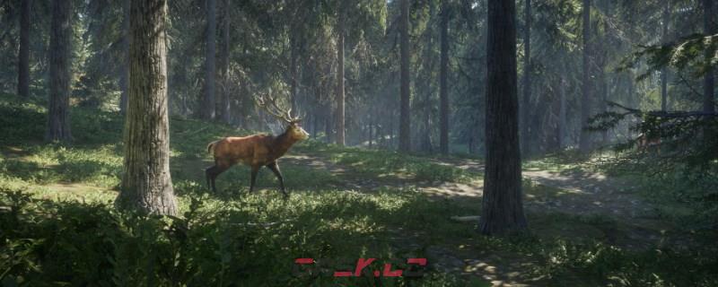 《猎人：荒野的呼唤》赫希费尔登的黄鹿在哪-第1张-单机攻略-GASK