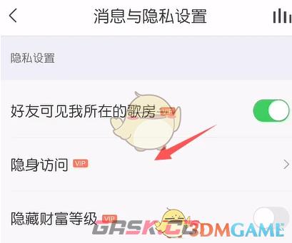 《vv音乐》隐身访问设置方法-第5张-手游攻略-GASK