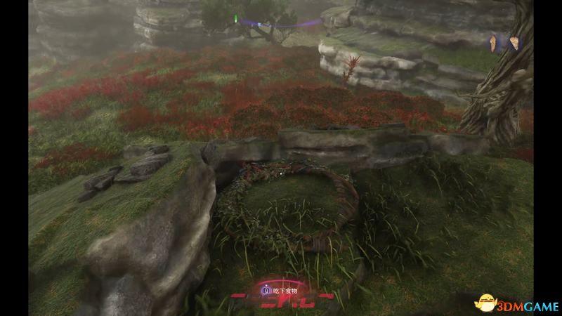 《阿凡达潘多拉边境》萨仁图图腾柱位置 图腾柱观察位置及萨仁图套装奖励-第6张-单机攻略-GASK