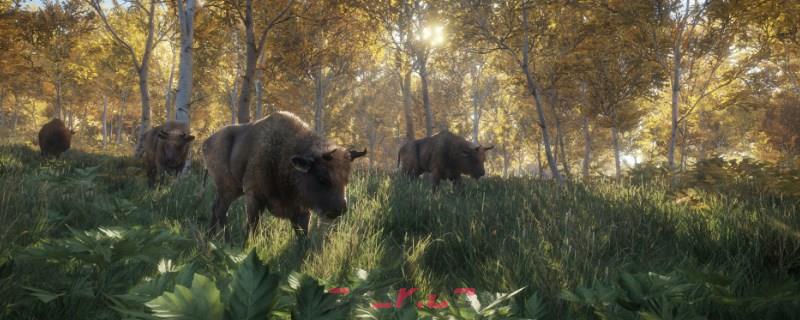 《猎人：荒野的呼唤》阿罗约的郊狼在哪-第1张-单机攻略-GASK