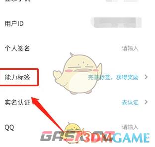 《代练丸子》设置能力标签方法-第5张-手游攻略-GASK