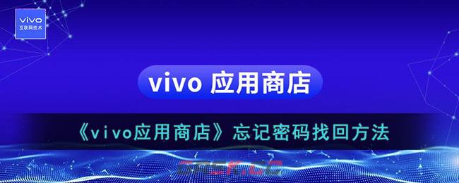 《vivo应用商店》忘记密码找回方法-第1张-手游攻略-GASK