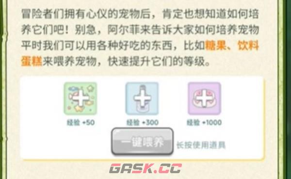 《冒险岛：联盟的意志》新手宠物选择攻略-第3张-手游攻略-GASK