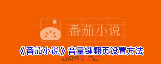 《番茄小说》音量键翻页设置方法-第1张-手游攻略-GASK