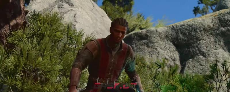 《博德之门3》黑缕盾牌在哪里获得-第1张-单机攻略-GASK