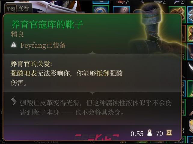 《博德之门3》养育官寇库的靴子在哪里获得-第2张-单机攻略-GASK