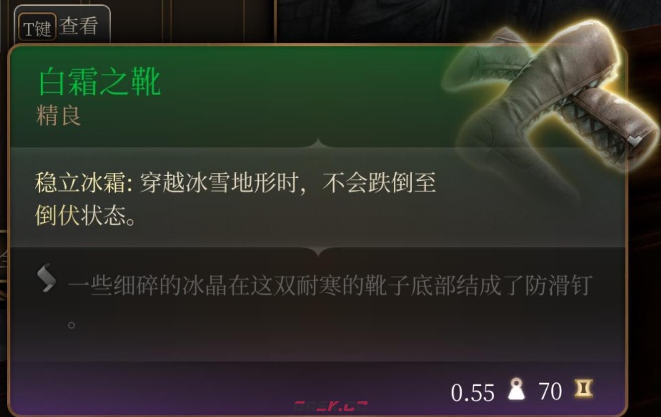 《博德之门3》奥术协调王冠在哪里获得-第6张-单机攻略-GASK