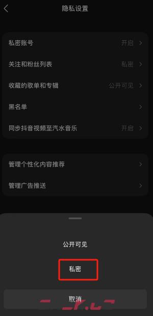 《汽水音乐》私密关注和粉丝设置方法-第4张-手游攻略-GASK