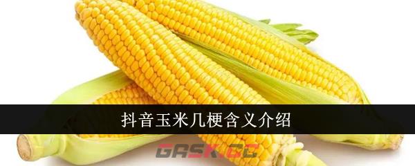 抖音玉米几梗含义介绍-第1张-手游攻略-GASK