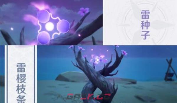 《原神》雷种子等级不够升级方法介绍-第4张-手游攻略-GASK