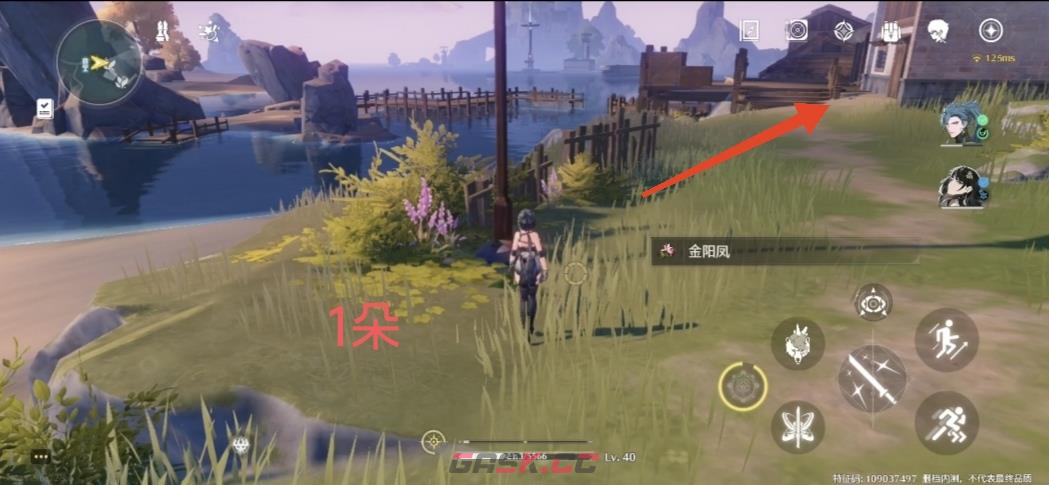 《鸣潮》金阳凤位置攻略-第19张-手游攻略-GASK