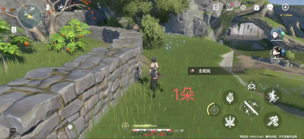 《鸣潮》金阳凤位置攻略-第14张-手游攻略-GASK