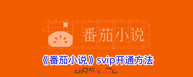《番茄小说》svip开通方法