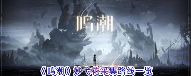 《鸣潮》妙弋花采集路线一览
