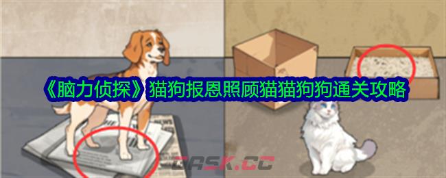 《脑力侦探》猫狗报恩照顾猫猫狗狗通关攻略-第1张-手游攻略-GASK