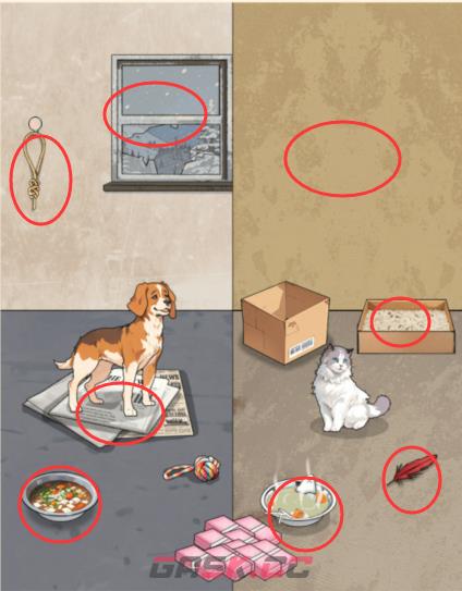 《脑力侦探》猫狗报恩照顾猫猫狗狗通关攻略-第2张-手游攻略-GASK