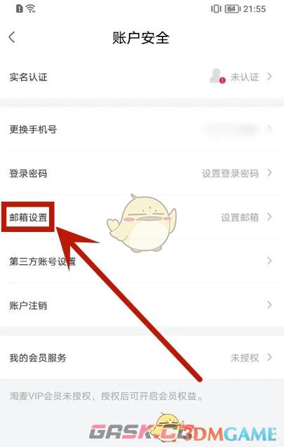 《大麦》设置邮箱方法-第5张-手游攻略-GASK