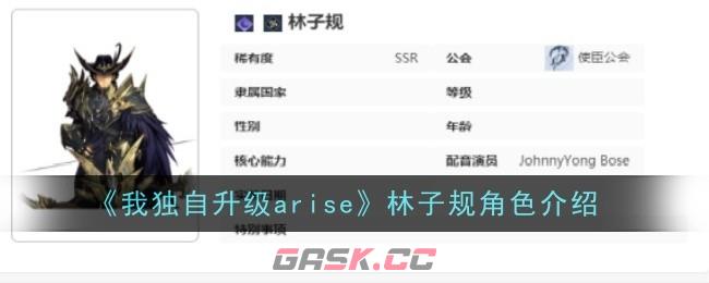 《我独自升级arise》林子规角色介绍-第1张-手游攻略-GASK