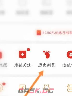《拼多多》查看历史浏览记录方法-第3张-手游攻略-GASK