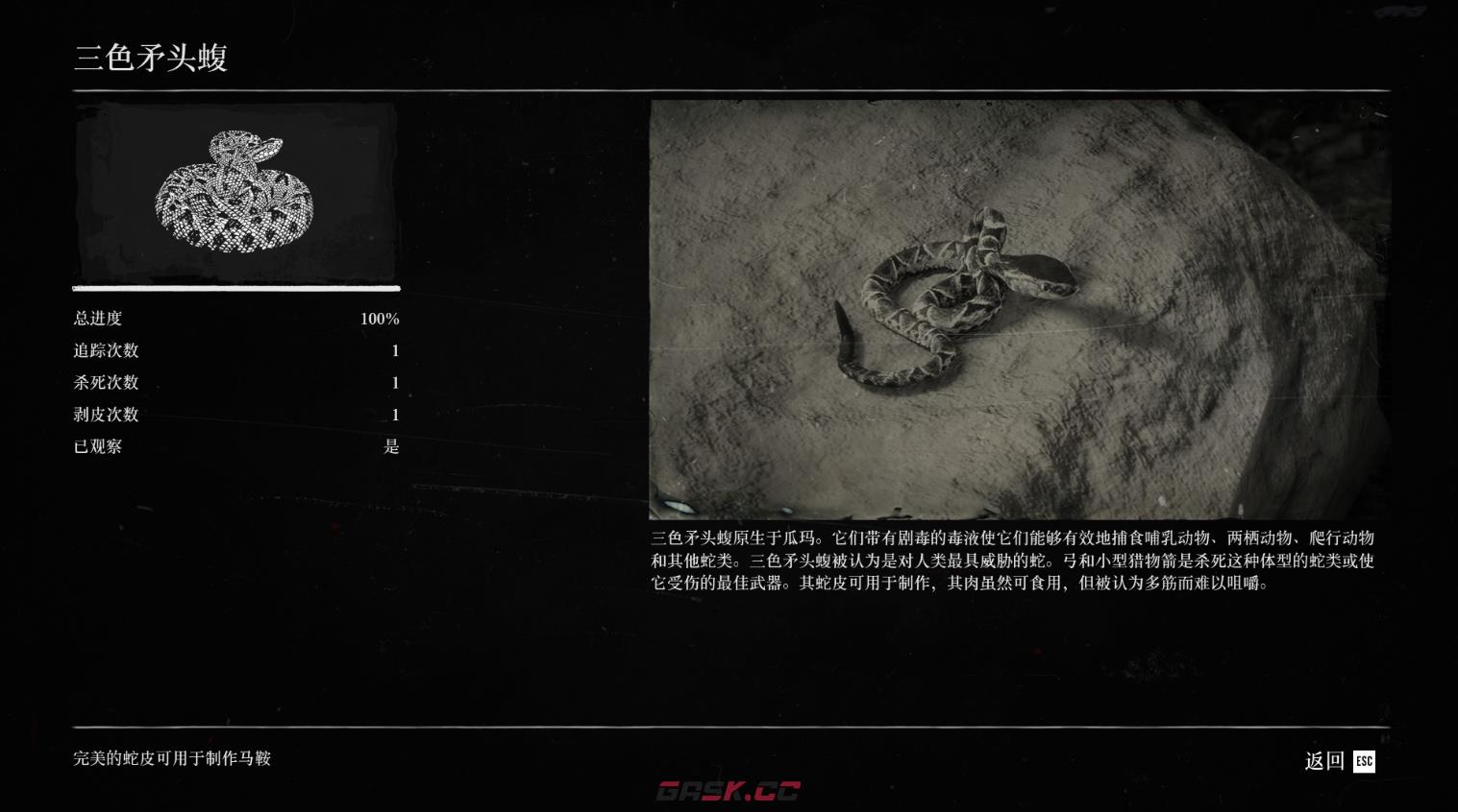 《荒野大镖客2》蝮蛇在哪里刷新-第2张-单机攻略-GASK