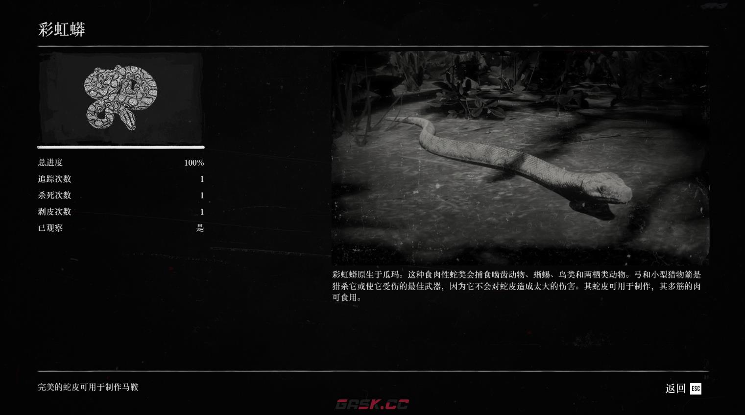 《荒野大镖客2》蟒蛇在哪里刷新-第3张-单机攻略-GASK