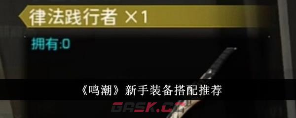 《鸣潮》新手装备搭配推荐-第1张-手游攻略-GASK