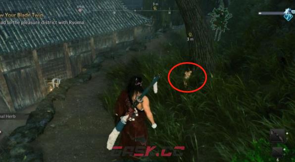 《浪人崛起》横滨马车道猫咪14在哪里-第3张-单机攻略-GASK