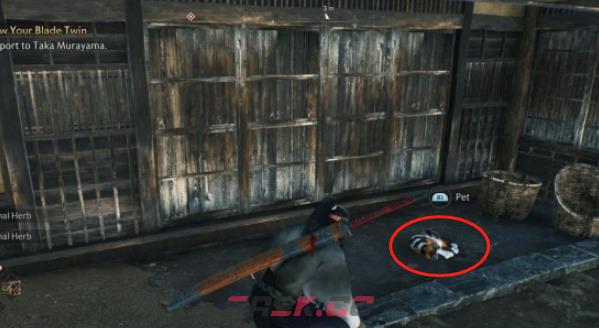 《浪人崛起》横滨芝生猫咪36在哪里-第3张-单机攻略-GASK