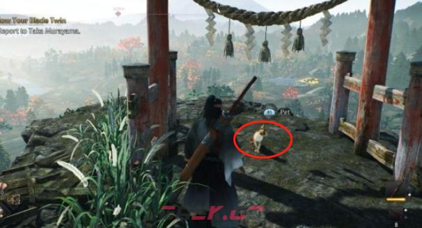 《浪人崛起》横滨芝生猫咪37在哪里-第3张-单机攻略-GASK