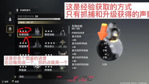《鸣潮》鸣域快速升级攻略-第4张-手游攻略-GASK