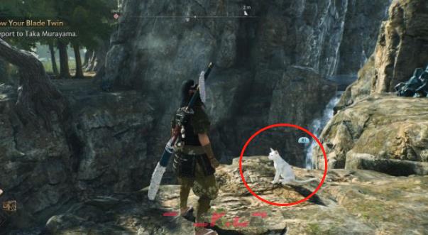 《浪人崛起》横滨神奈川猫咪40在哪里-第3张-单机攻略-GASK